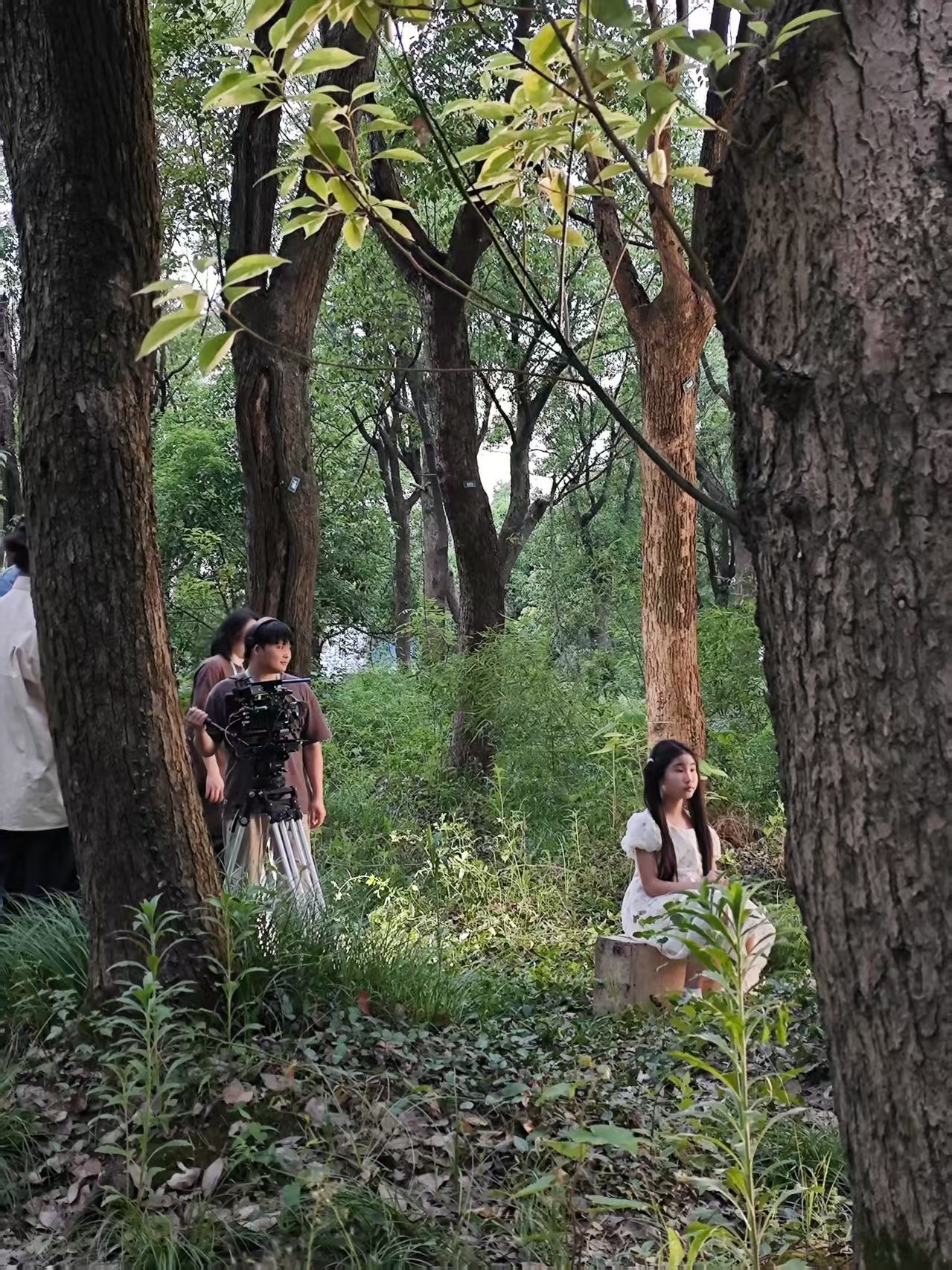 树林外景拍摄现场